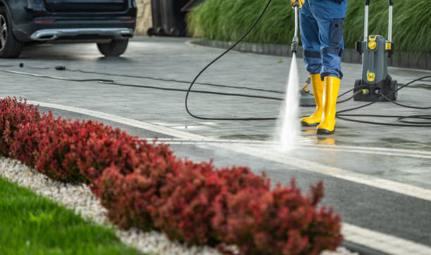Best Fence Cleaning  in West Cape May, NJ